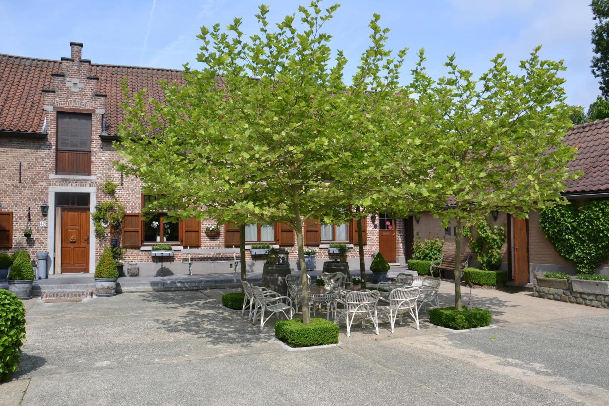 B&B Hof Te Spieringen Vollezele Exterior foto