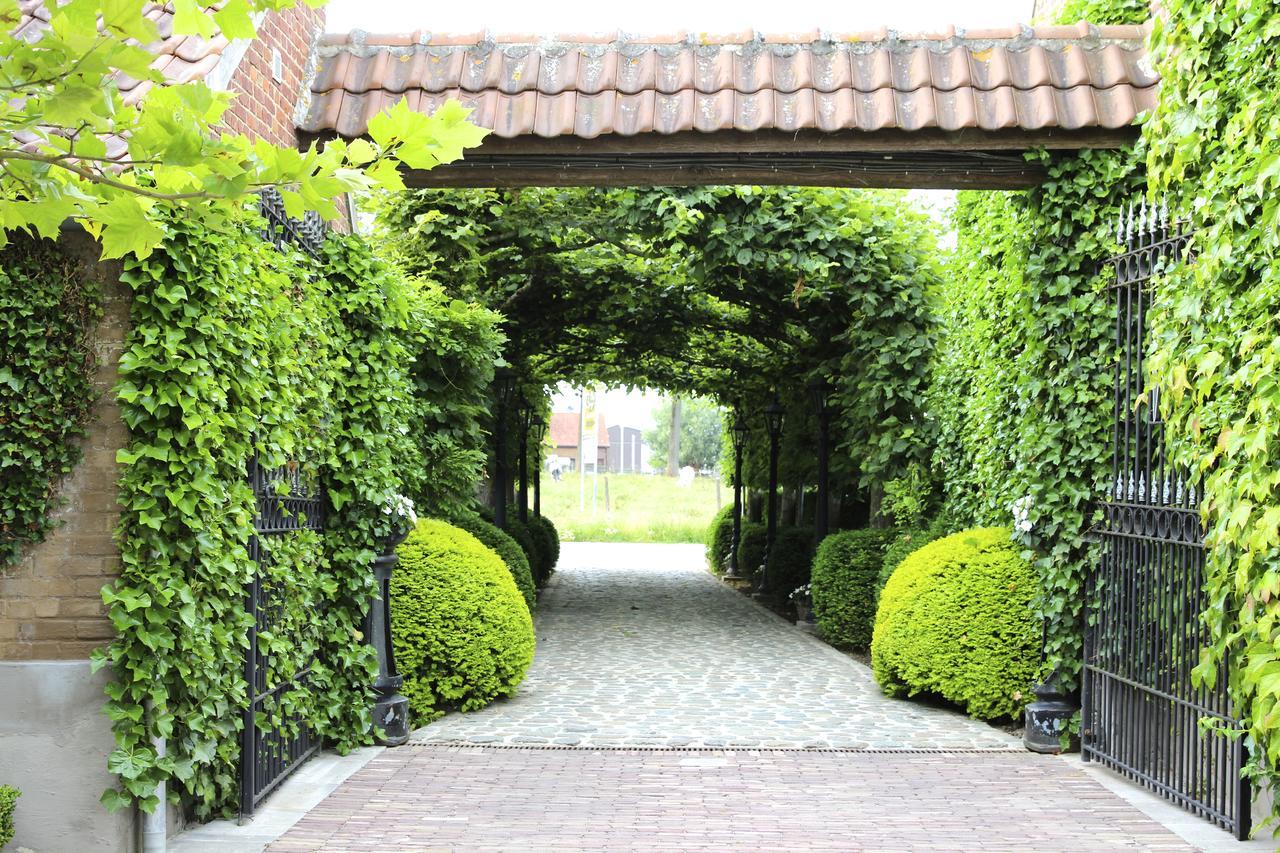 B&B Hof Te Spieringen Vollezele Exterior foto